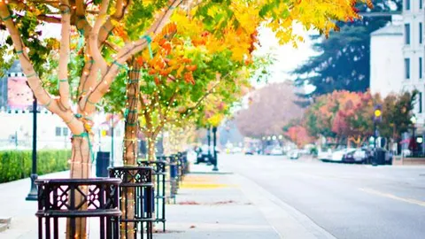 $820,000 | 100 East Middlefield Road, Unit 6G, Mountain View, CA 94043