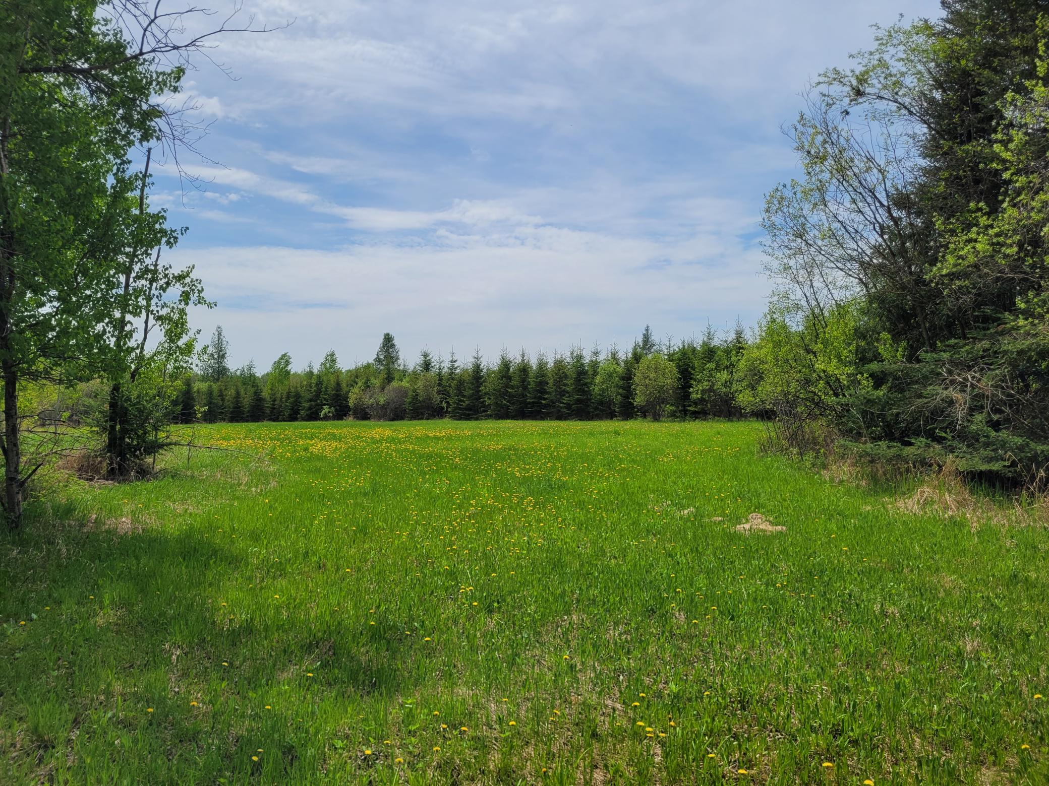 68401 County Road 547 Cook, MN 55723 - Photo 12 of 29