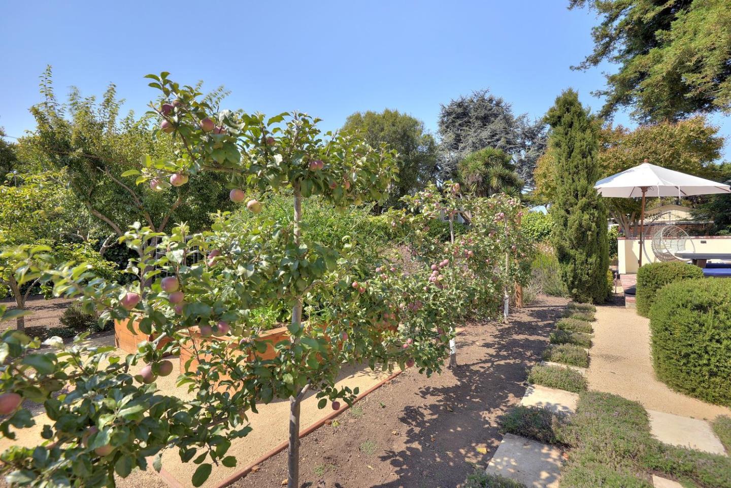 109 Elva Drive Aptos, CA 95003 - Photo 45 of 50