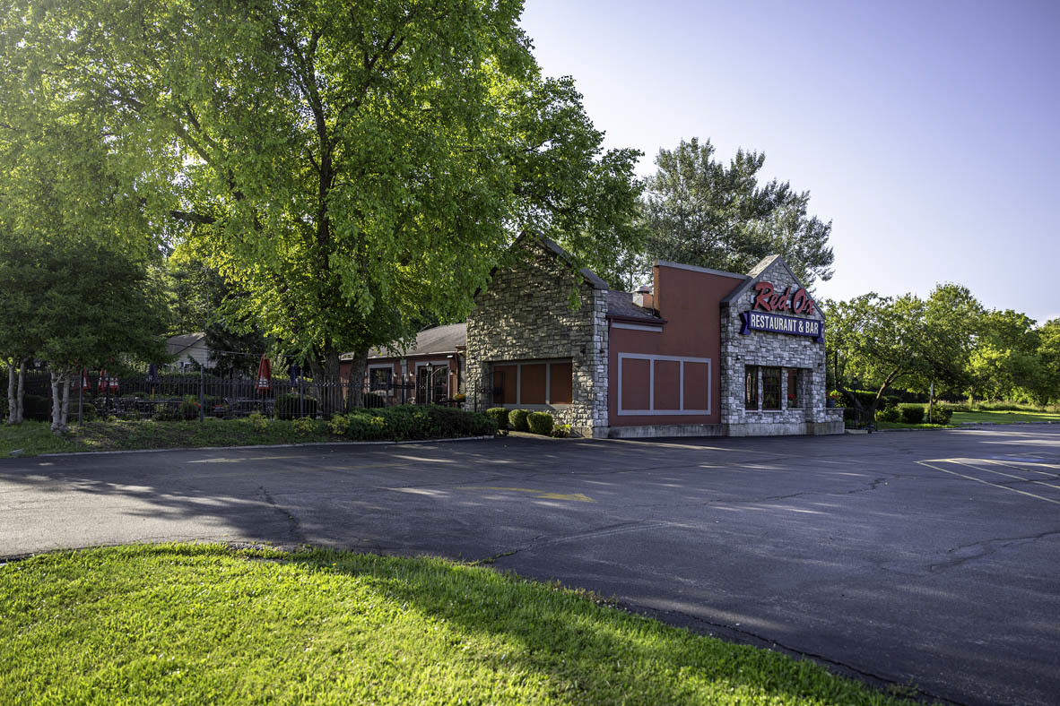 809 Mesa Lane Pingree Grove, IL 60140 - Photo 45 of 53 a view of a house with a big yard plants and trees