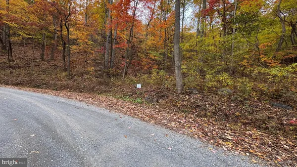 a view of a backyard of the house