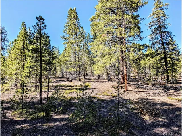 $138,000 | 322 Juniper Drive, Twin Lakes, CO 80461