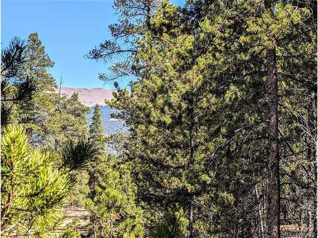 $138,000 | 322 Juniper Drive, Twin Lakes, CO 80461