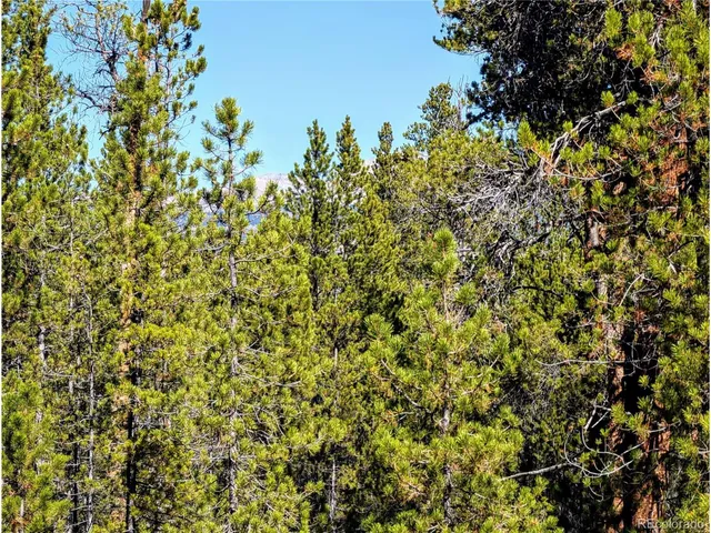 $138,000 | 322 Juniper Drive, Twin Lakes, CO 80461