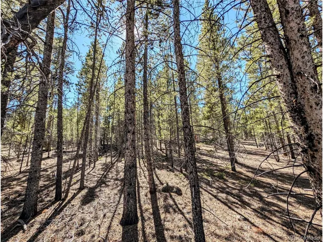 $138,000 | 322 Juniper Drive, Twin Lakes, CO 80461