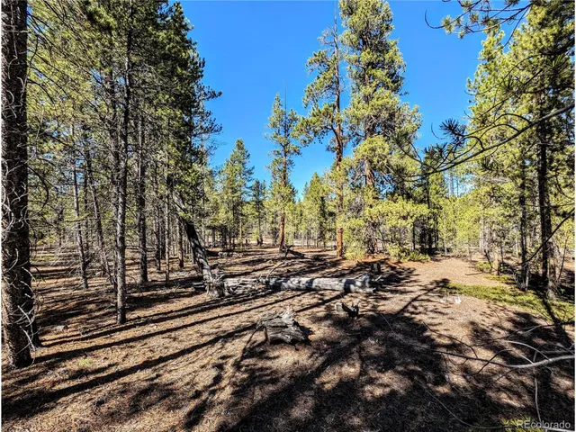 $138,000 | 322 Juniper Drive, Twin Lakes, CO 80461