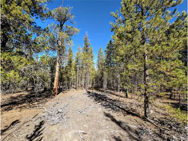 $138,000 | 322 Juniper Drive, Twin Lakes, CO 80461