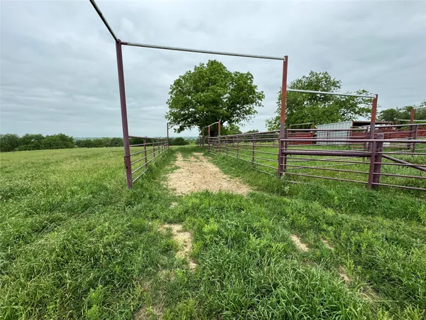 a view of a park with large trees