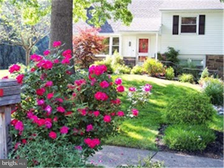 1237 Hoffman Road Ambler, PA 19002 - Photo 13 of 19 Front Yard