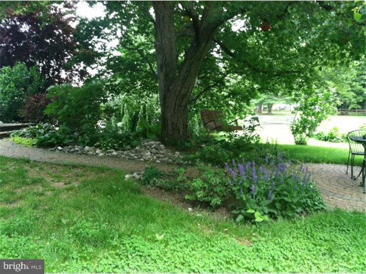 1237 Hoffman Road Ambler, PA 19002 - Photo 17 of 19 Back Yard