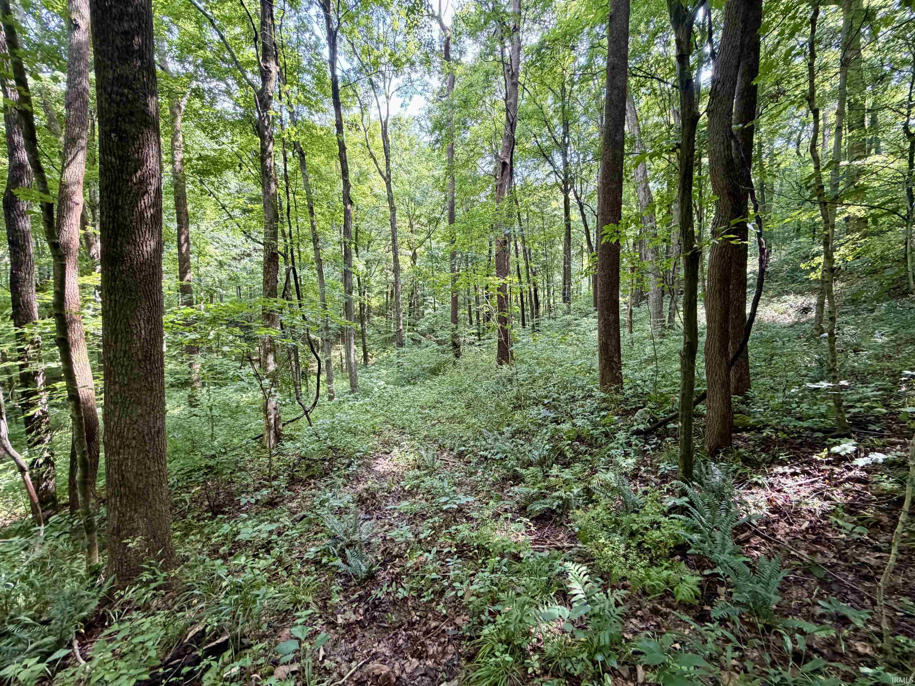 Off Candlestick Road Bristow, IN 47515 - Photo 6 of 30