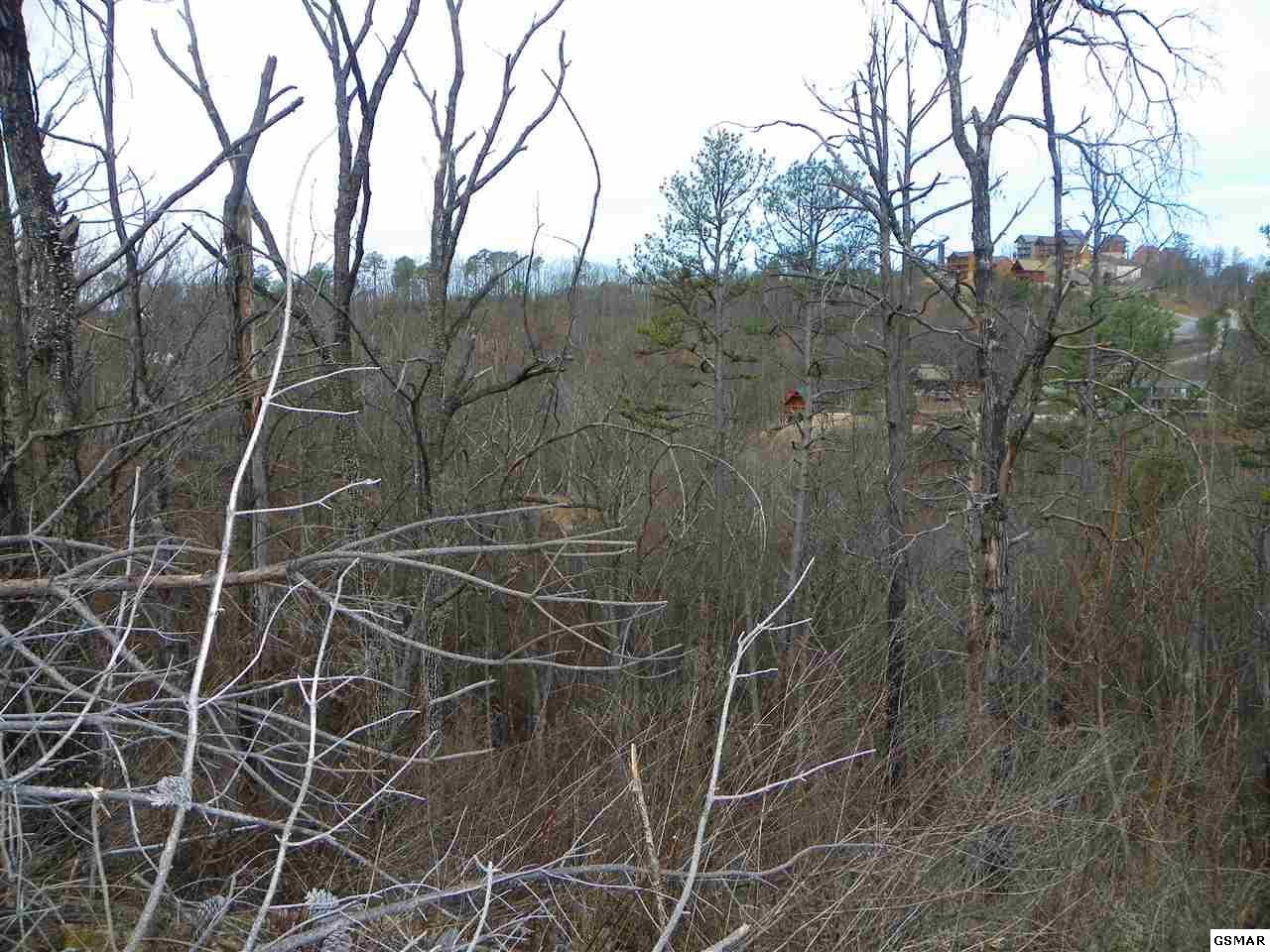 1985 Timber Ridge Way Sevierville, TN 37876 - Photo 5 of 5