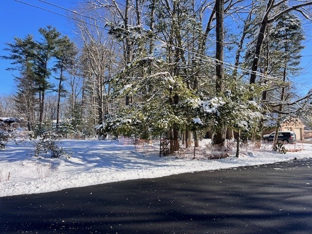 121 Cumberland Road Leominster, MA 01453 - Photo 9 of 12 a view of road with trees