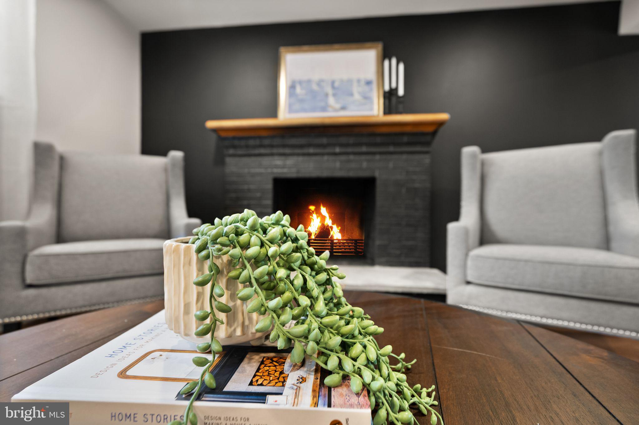 12412 Needle Drive Clarksburg, MD 20871 - Photo 28 of 51 a living room with furniture and a fireplace