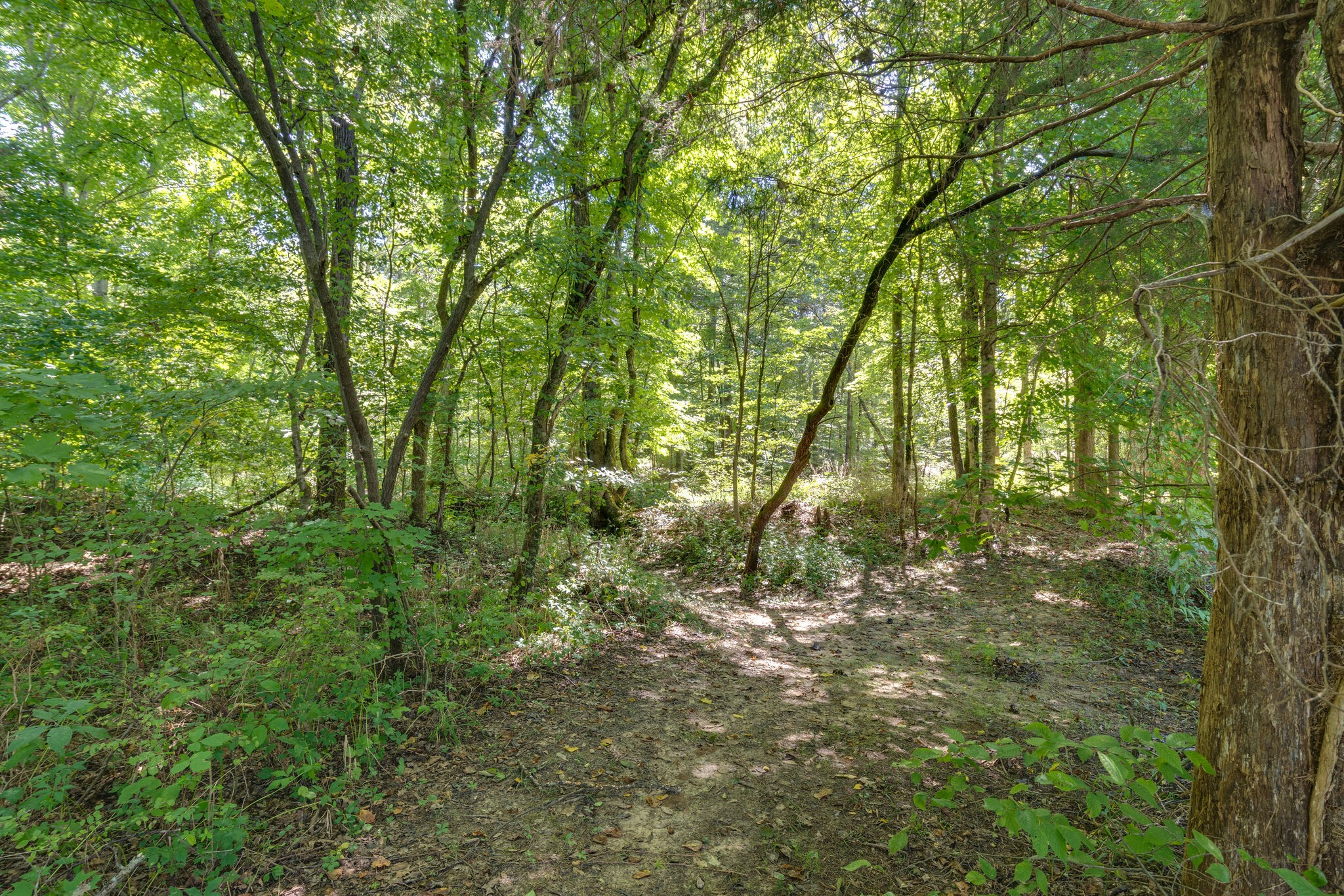 2770 Scribners Mill Road Culleoka, TN 38451 - Photo 42 of 44 Gallery Image 42