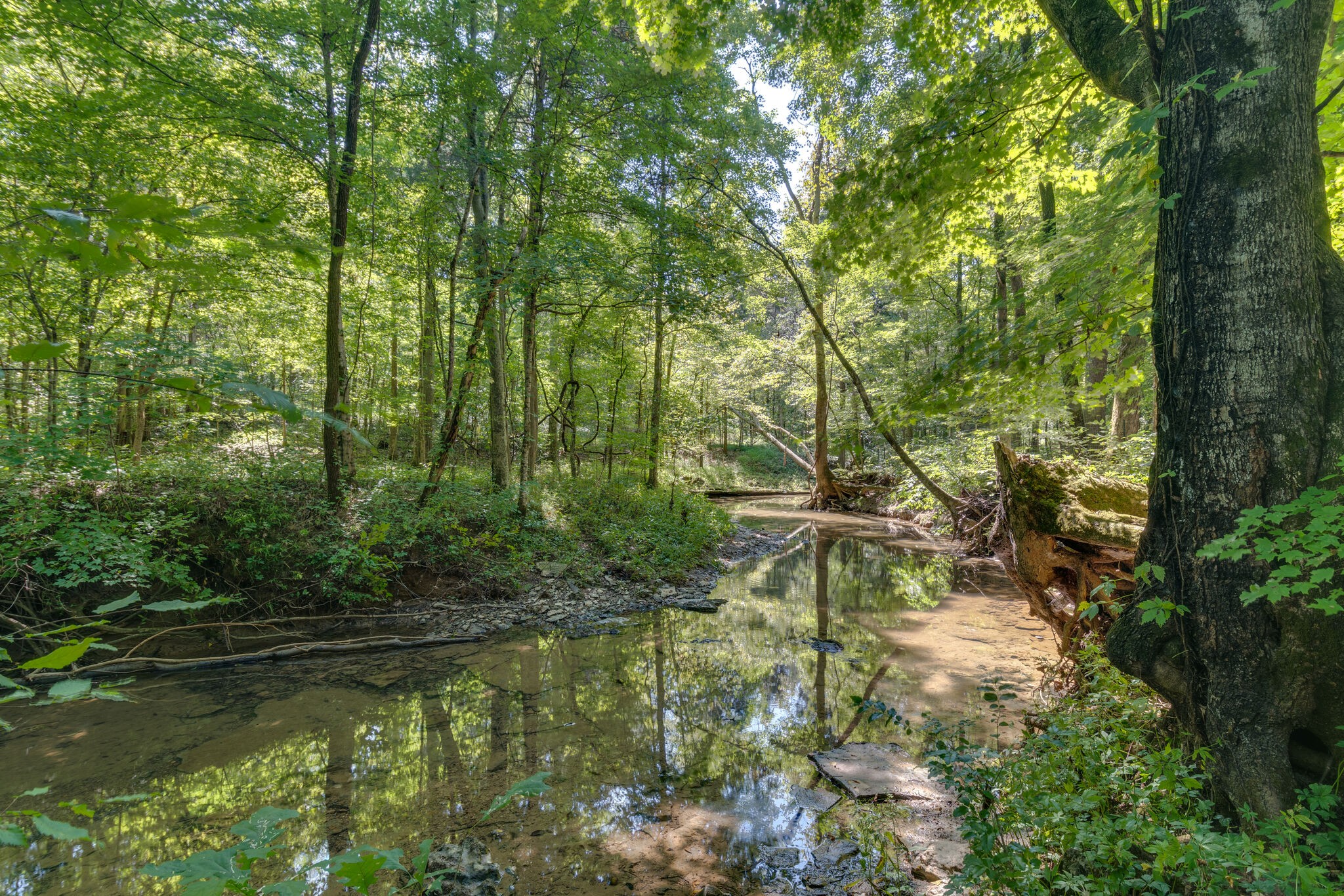 2770 Scribners Mill Road Culleoka, TN 38451 - Photo 43 of 44 Gallery Image 43
