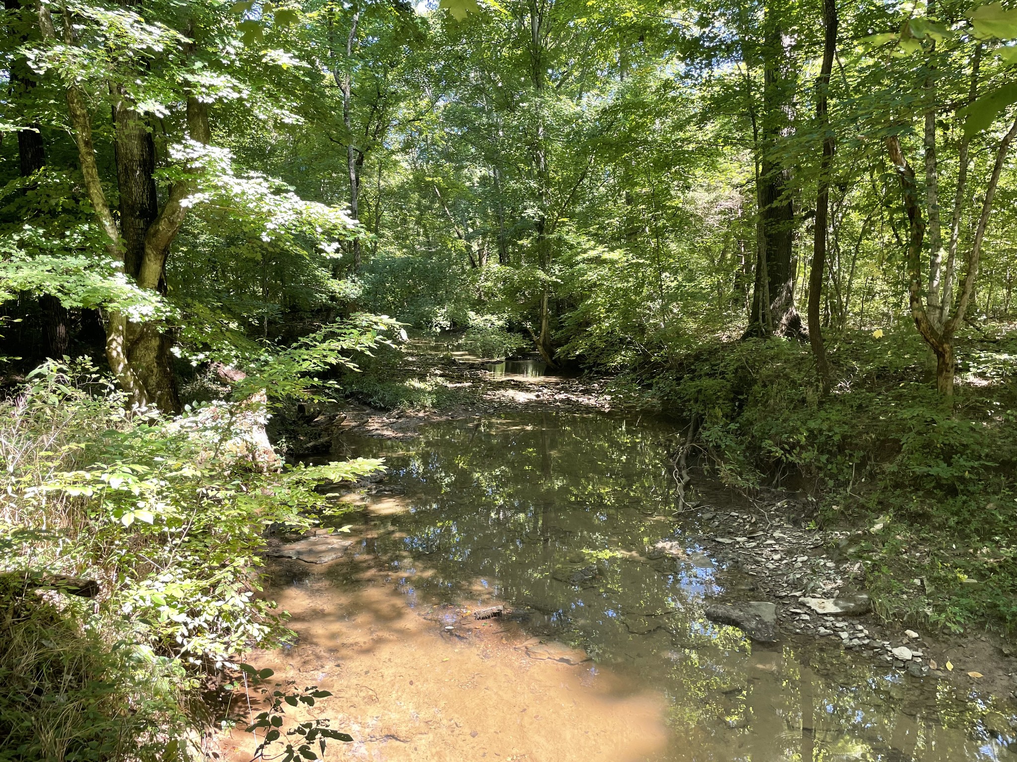 2770 Scribners Mill Road Culleoka, TN 38451 - Photo 44 of 44 Gallery Image 44