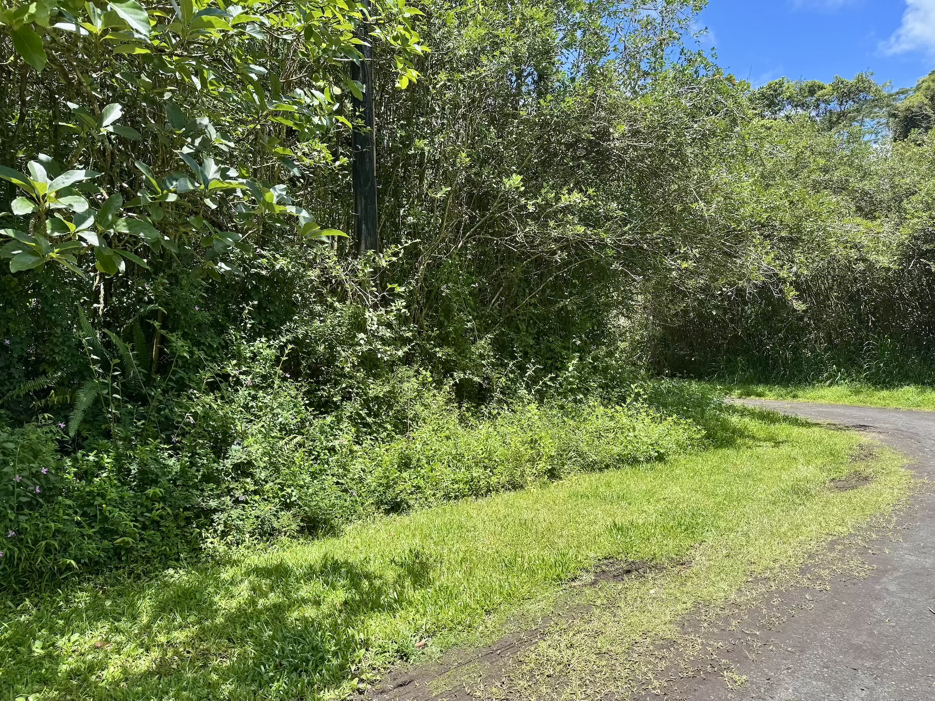 1043 Lanai Road Pahoa, HI 96778 - Photo 1 of 15