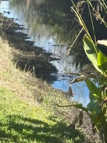 $515,000 | 1848 Via Castello, Wellington, FL 33411