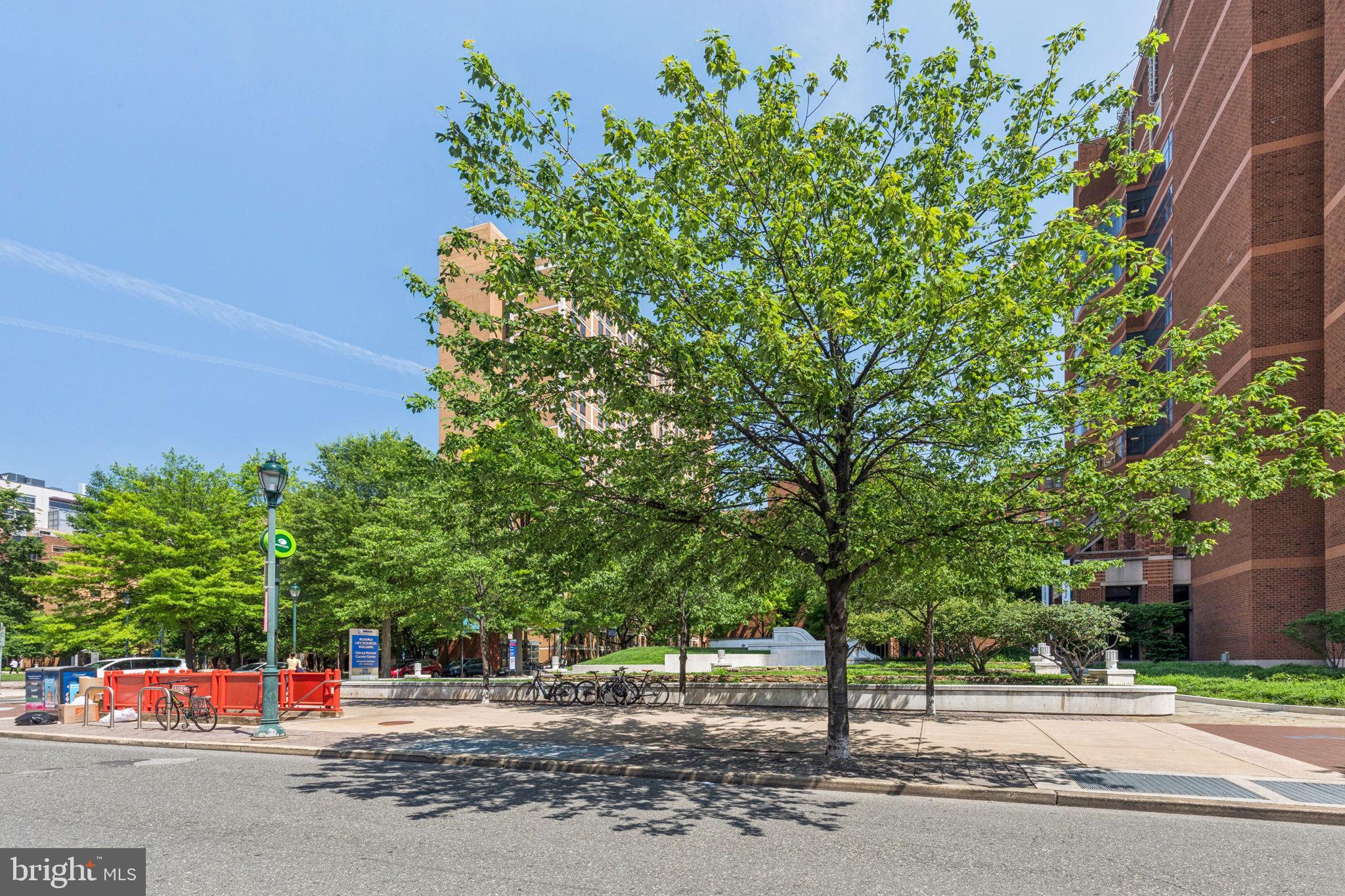 932 Locust Street Philadelphia, PA 19107 - Photo 3 of 23 a view of street along with trees
