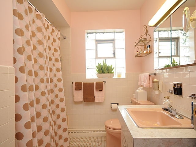 739 Juniper Road Glenview, IL 60025 - Photo 14 of 21 a bathroom with a sink toilet and mirror