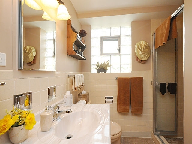 739 Juniper Road Glenview, IL 60025 - Photo 17 of 21 a bathroom with a sink a toilet and a mirror