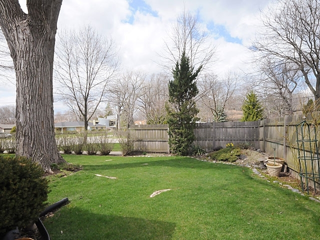 739 Juniper Road Glenview, IL 60025 - Photo 20 of 21 a garden with trees in front of it