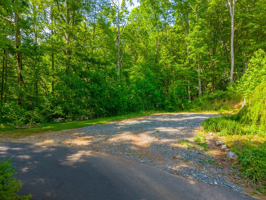 171 High Splendor Drive Robbinsville, NC 28771 - Photo 55 of 62
