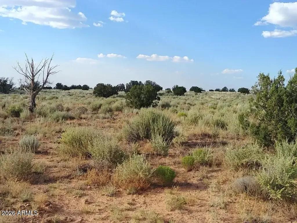 0 Kims Ranch Road Heber, AZ 85928 - Photo 1 of 1