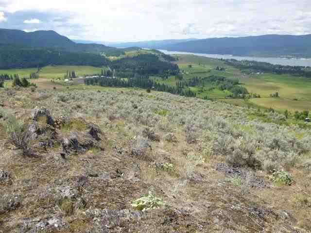 1900 Goddard Road Rice, WA 99167 - Photo 3 of 7