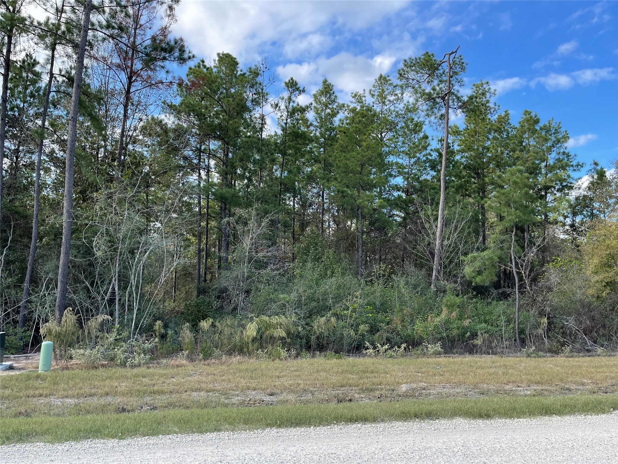 11756 Grand N Road Willis, TX 77378 - Photo 5 of 18
