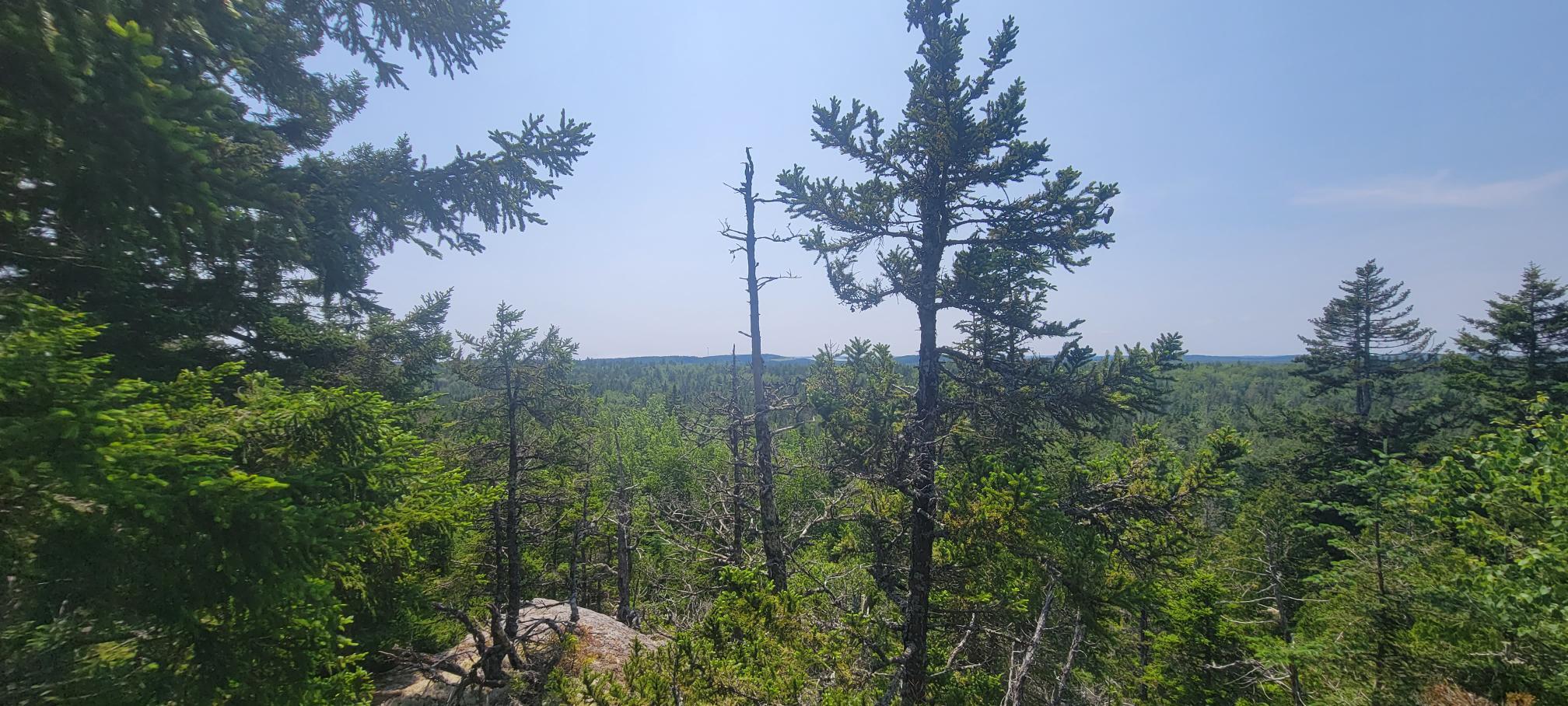 Lot 84 Duck Cove Road Roque Bluffs, ME 04654 - Photo 5 of 24 20230712_133856