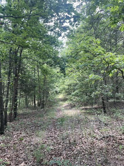 0 Co Road Ava, MO 65608 - Photo 15 of 15 0-11 (1)