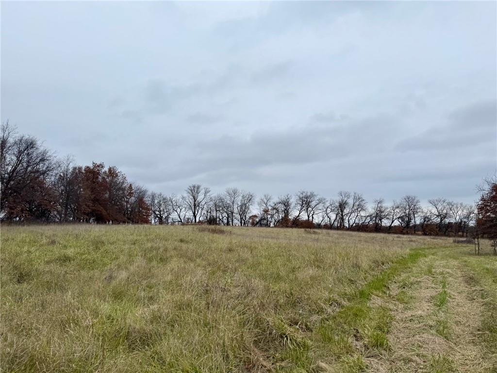 11519 Varner Road Odessa, MO 64076 - Photo 10 of 10