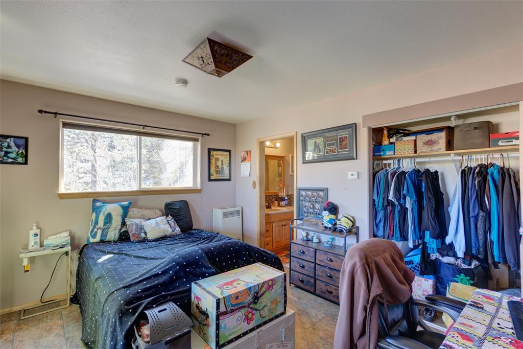 1925 Badger Creek Road Hartsel, CO 80449 - Photo 12 of 26 Gallery Image 12