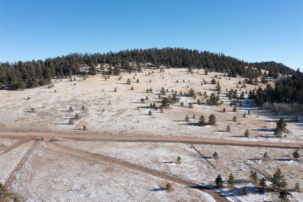 1925 Badger Creek Road Hartsel, CO 80449 - Photo 26 of 26 Gallery Image 26