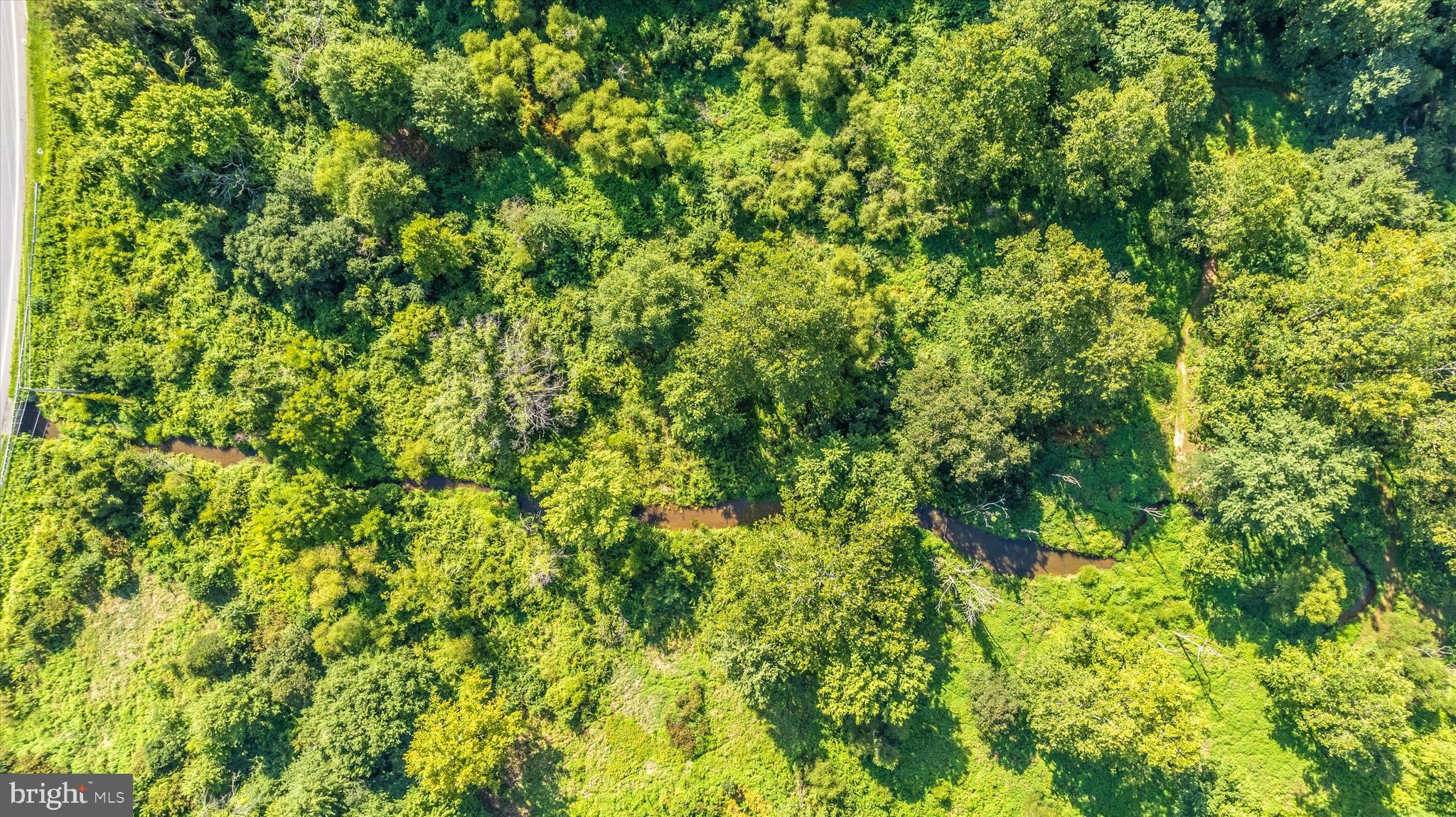 19101 Darnestown Road Poolesville, MD 20837 - Photo 23 of 27 a view of a lush green forest
