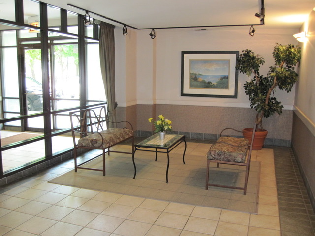 811 South Lytle Street, Unit 212 Chicago, IL 60607 - Photo 3 of 14 a living room with furniture and a window