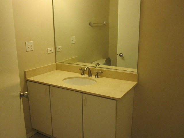811 South Lytle Street, Unit 212 Chicago, IL 60607 - Photo 8 of 14 a bathroom with a sink and mirror