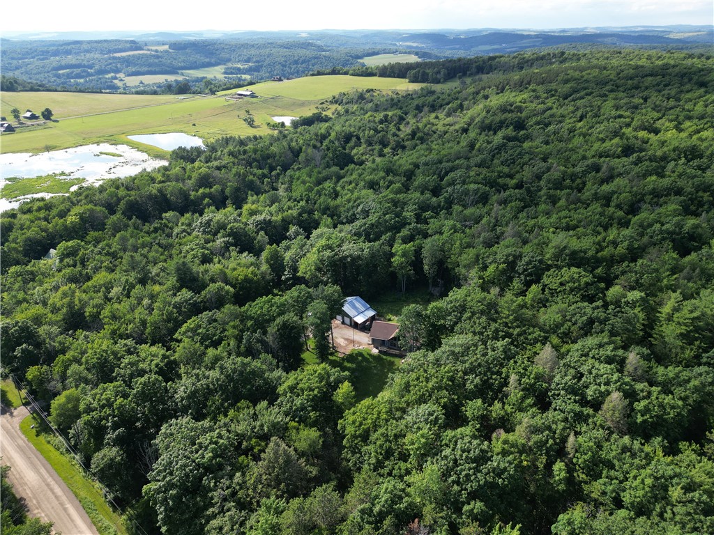 4679 Cook Road Woodhull, NY 14898 - Photo 45 of 49