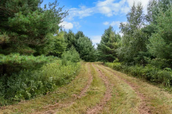 $255,500 | Tbd Tbd County F Road, Trego, WI 54888