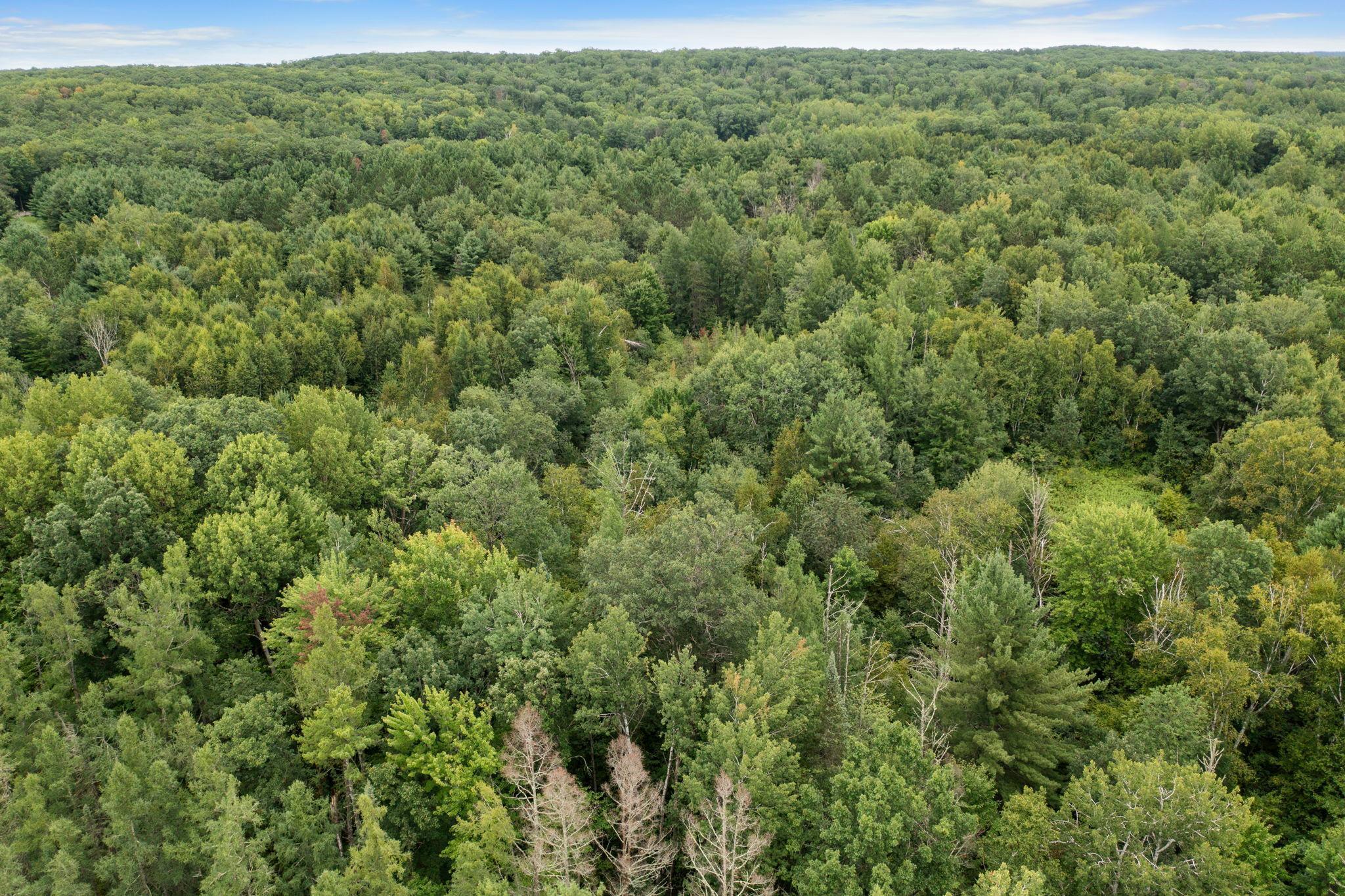 Tbd Tbd County F Road Trego, WI 54888 - Photo 11 of 13