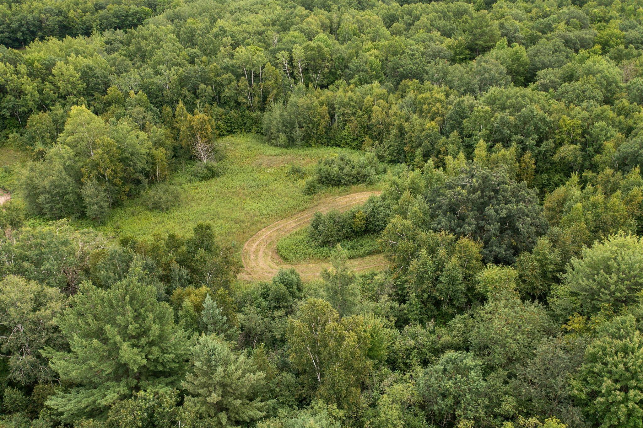 Tbd Tbd County F Road Trego, WI 54888 - Photo 12 of 13