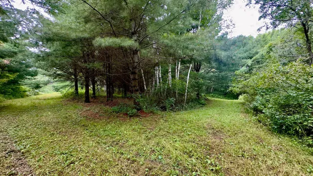 $231,475 | Tbd Tbd County F Road, Trego, WI 54888