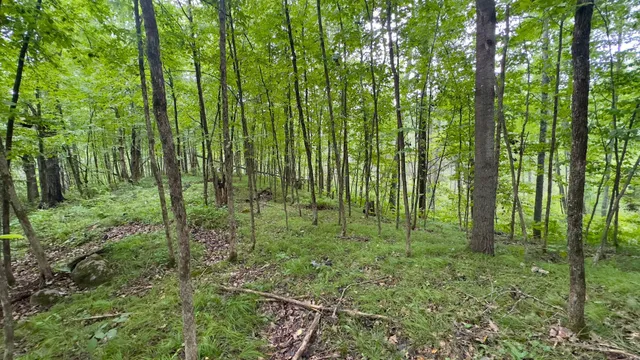 $231,475 | Tbd Tbd County F Road, Trego, WI 54888