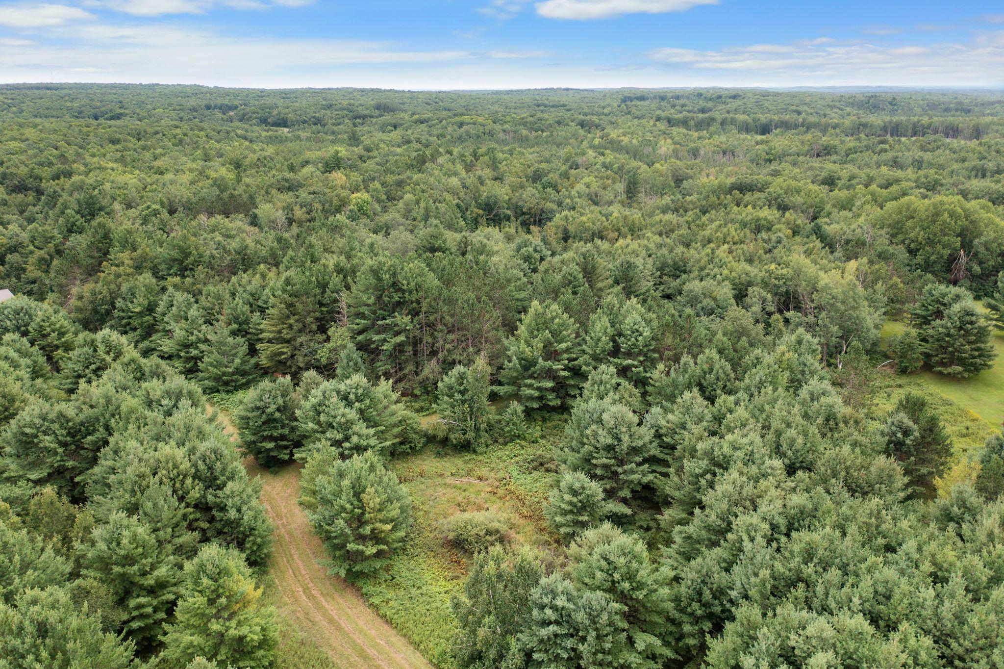 Tbd Tbd County F Road Trego, WI 54888 - Photo 6 of 13