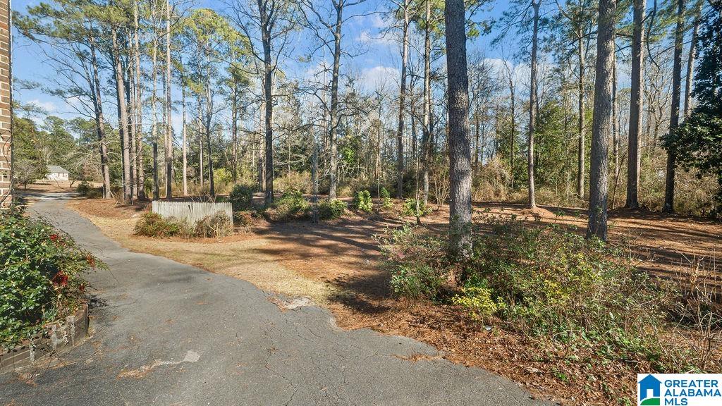 1306 Lay Dam Road Clanton, AL 35045 - Photo 65 of 68