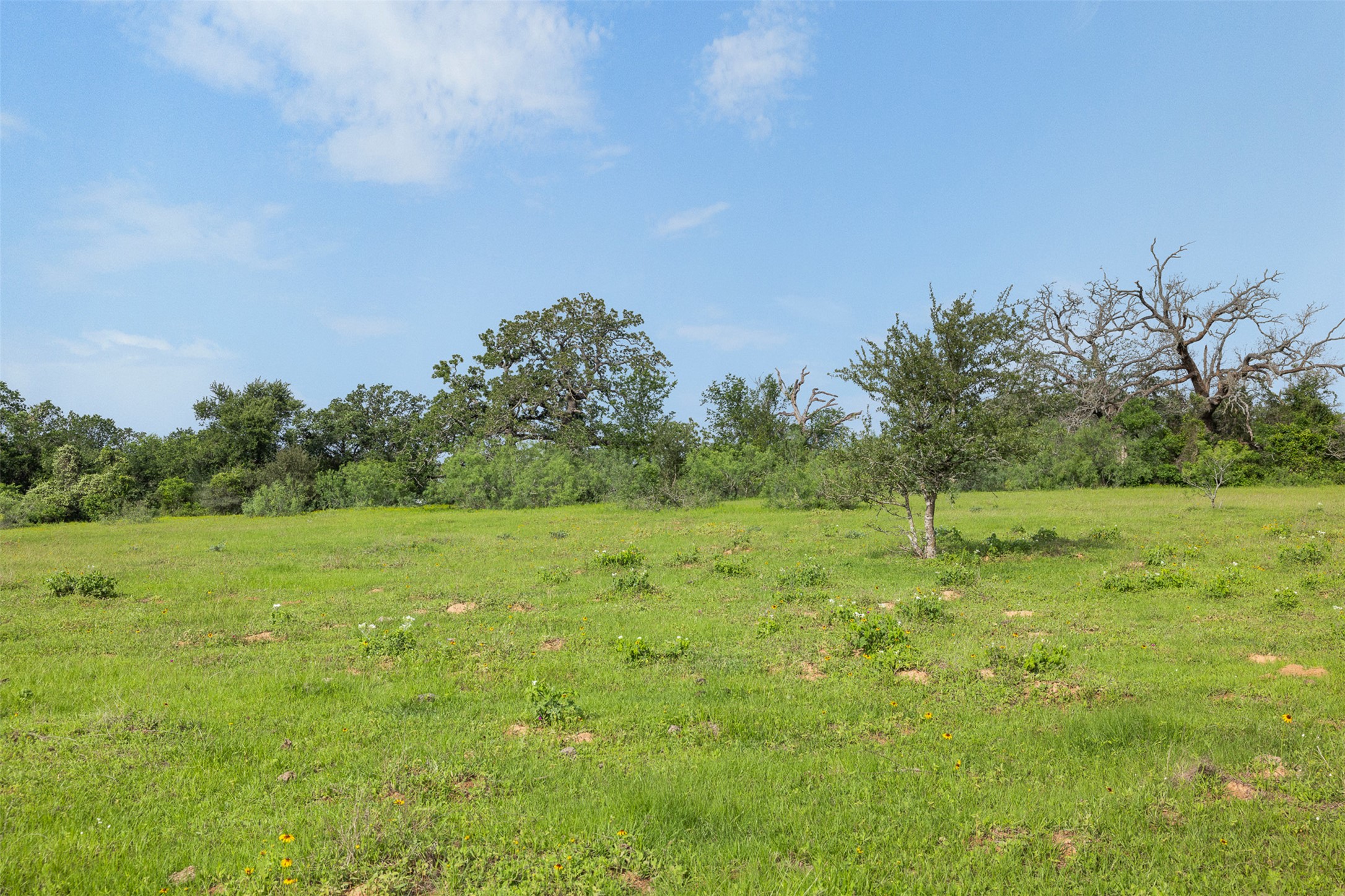459 County Road 459 Road Thorndale, TX 76577 - Photo 2 of 35 a view of an outdoor space and a yard