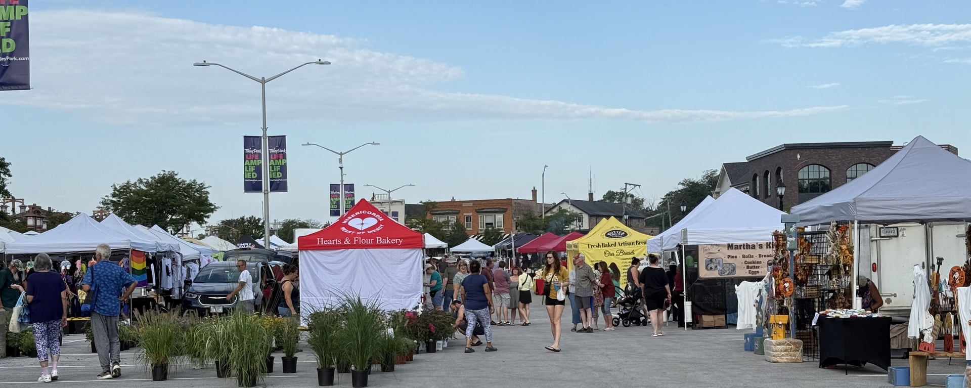 6645 Riverside Drive Tinley Park, IL 60477 - Photo 37 of 38 a view of street with sitting area