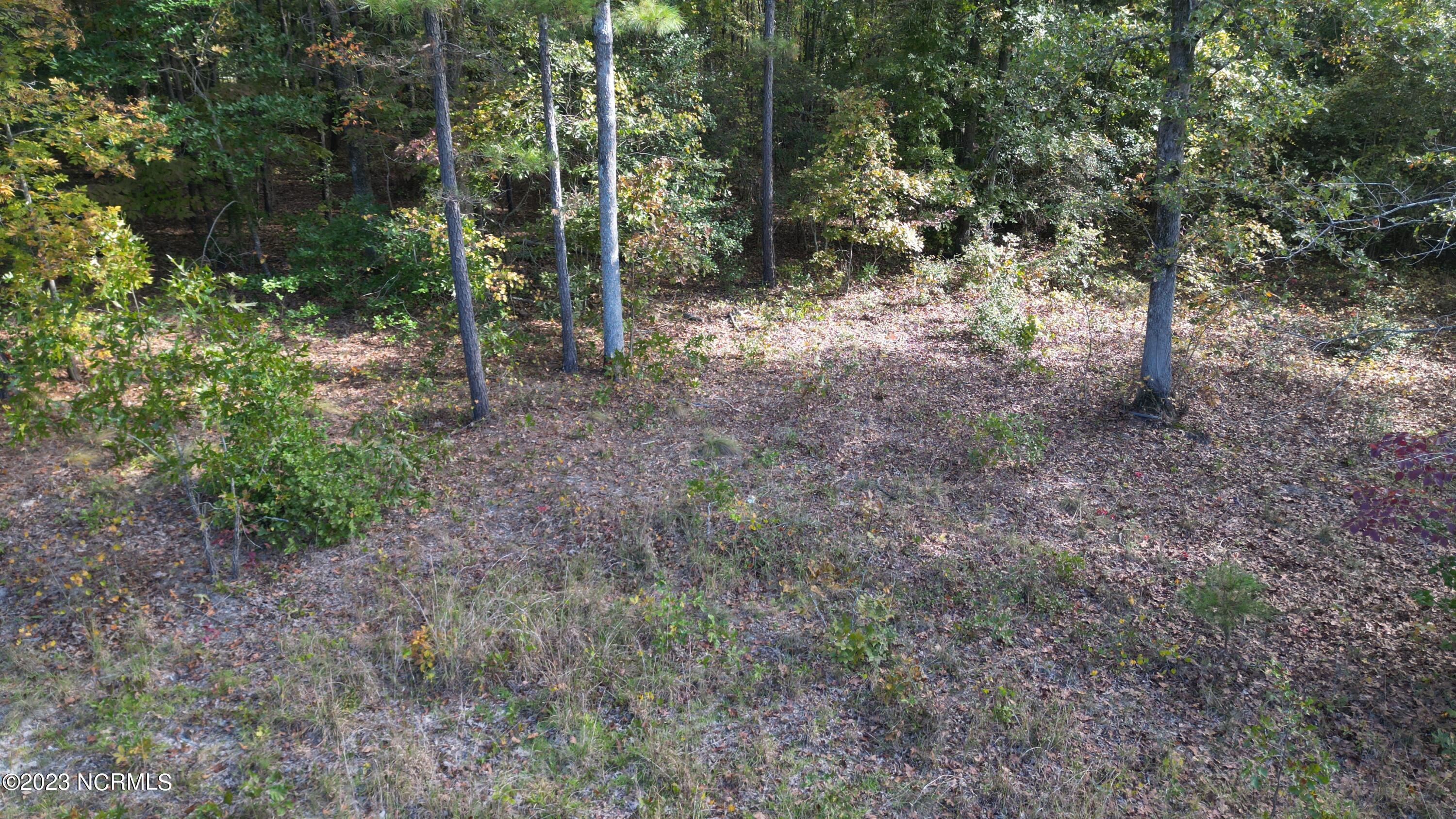 18.33-acre McPherson Road Vass, NC 28394 - Photo 34 of 39 DJI_0154
